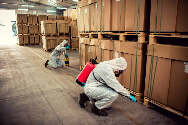Best Flea Control Services  in Mentor, OH