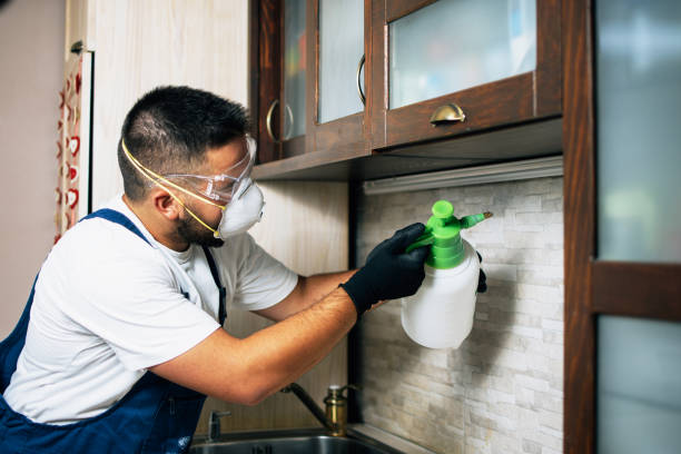 Best Termite Control Services  in Mentor, OH