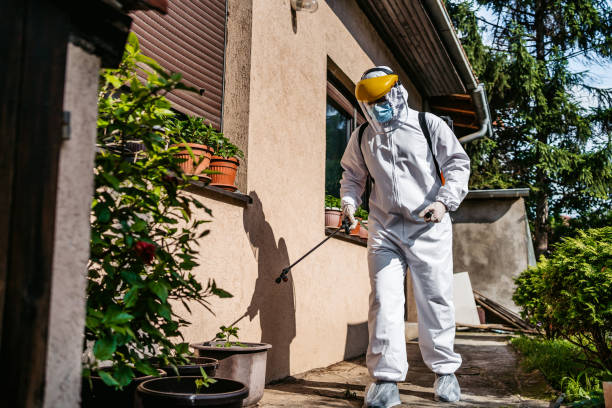 Best Flea Control Services  in Mentor, OH