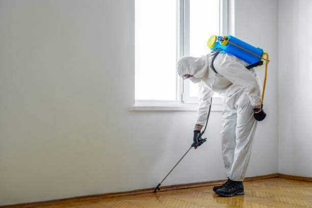 Best Bed Bug Extermination  in Mentor, OH