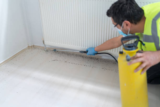 Best Best Pest Control Companies  in Mentor, OH