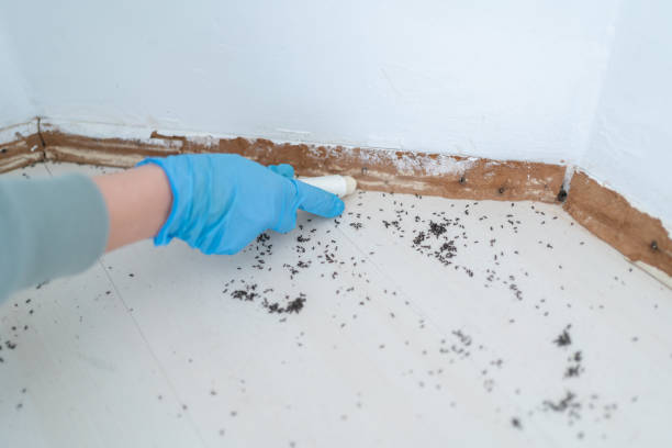 Best Best Pest Control Companies  in Mentor, OH
